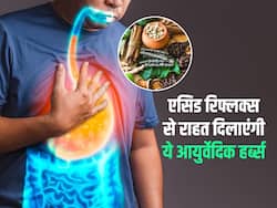 एसिड रिफ्लक्स से राहत दिला सकती हैं ये 5 आयुर्वेदिक जड़ी-बूटियां,  इस तरह करें सेवन