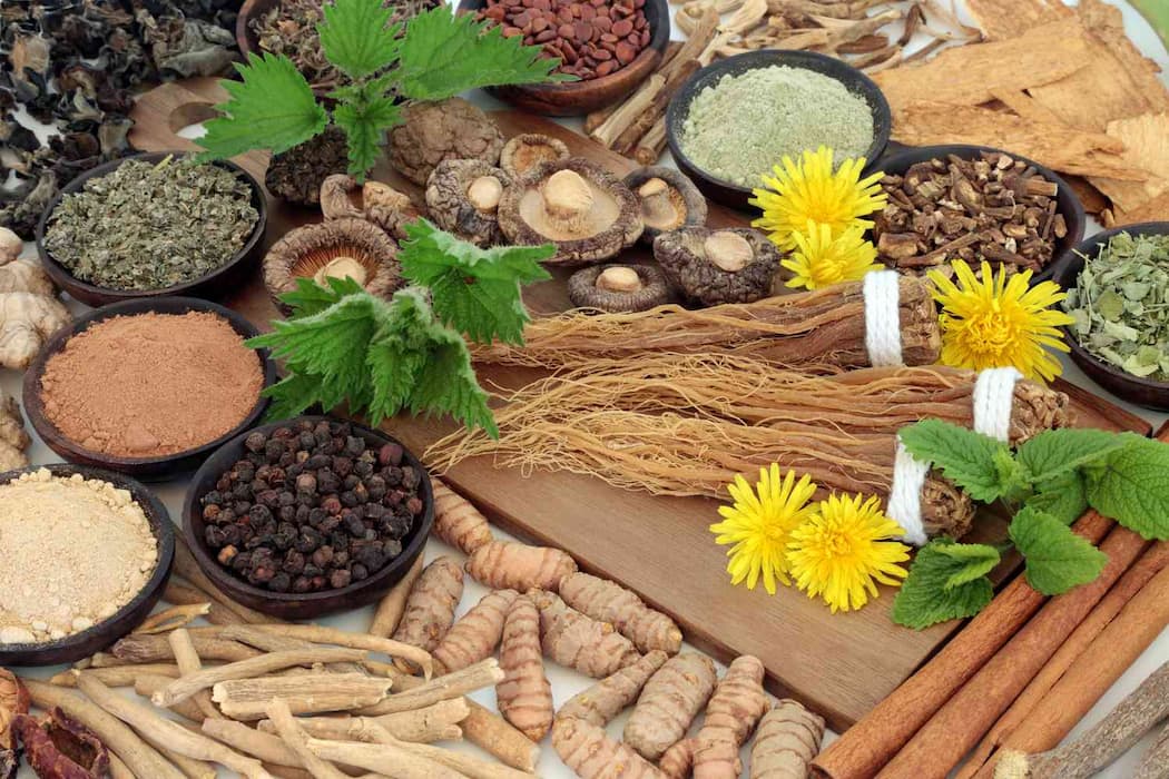 A Deeper Dive Into Adaptogens: Key Properties Of Herbs In The Collection