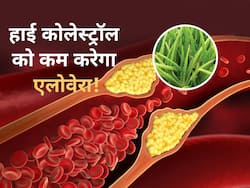 नसों में जमा गंदे कोलेस्ट्रॉल को एक झटके में बाहर निकाल देगा एलोवेरा, इस तरह करें इस्तेमाल