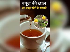 बबूल की छाल का काढ़ा पीने के 8 फायदे