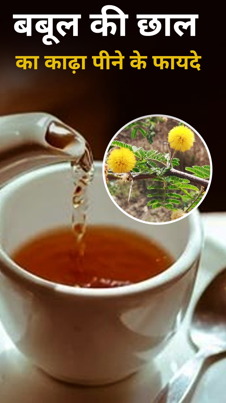 рдмрдмреВрд▓ рдХреА рдЫрд╛рд▓ рдХрд╛ рдХрд╛рдврд╝рд╛ рдкреАрдиреЗ рдХреЗ 8 рдлрд╛рдпрджреЗ