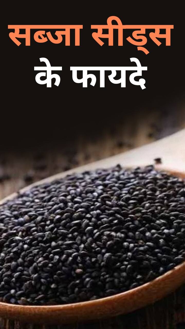 sabja seeds News in Hindi Latest sabja seeds Updates in Hindi