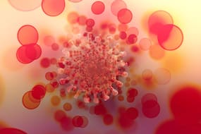 New COVID Variant Is Mutating: UK Reports 34 Cases of BA.2.86; Global Number Jumps To 65 New COVID Variant Is Mutating: UK Reports 34 Cases of BA.2.86; Global Number Jumps To 65