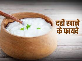 Curd Health Benefits: लंच मे रोज खाएं 1 कटोरी दही, स्वास्थ्य को मिलेंगे ये 5 फायदे Curd Health Benefits: लंच मे रोज खाएं 1 कटोरी दही, स्वास्थ्य को मिलेंगे ये 5 फायदे
