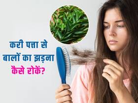 बालों को झड़ने से रोक सकता है करी पत्ता, इन 3 तरीकों से करेंगे इस्तेमाल तो कुछ ही दिनों में दिखेगा असर