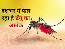 डेंगू बुखार की वजह से बीजेपी के दो नेता की हुई मौत, नोएडा में डेंगू के नए स्ट्रेन की हुई पुष्टि