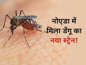 DENV-2 है डेंगू का खतरनाक स्ट्रेन, 6 घंटे तक एक्टिव रहता है इसका मच्छर