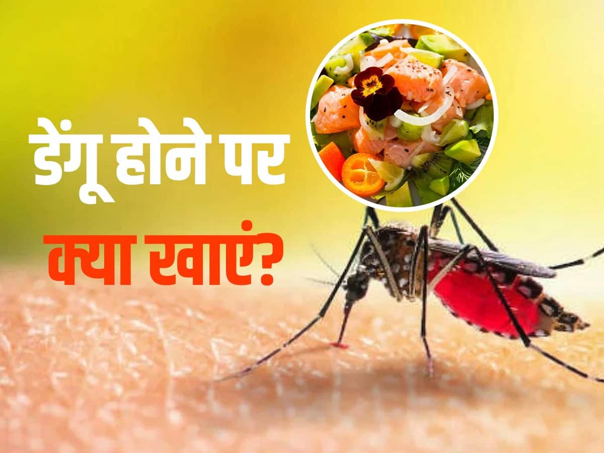 Dengue hone par kya khaye डेंगू में प्लेटलेट्स बढ़ाने से लेकर शरीर की