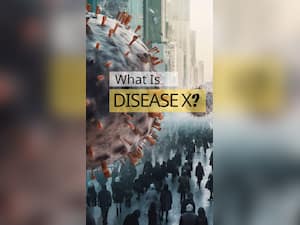 What Is Disease X Pandemic?