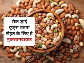 रोज ड्राई फ्रूट्स नहीं चाहिए, ये सेहत के लिए हो सकते हैं नुकसानदायक रोज ड्राई फ्रूट्स नहीं चाहिए, ये सेहत के लिए हो सकते हैं नुकसानदायक