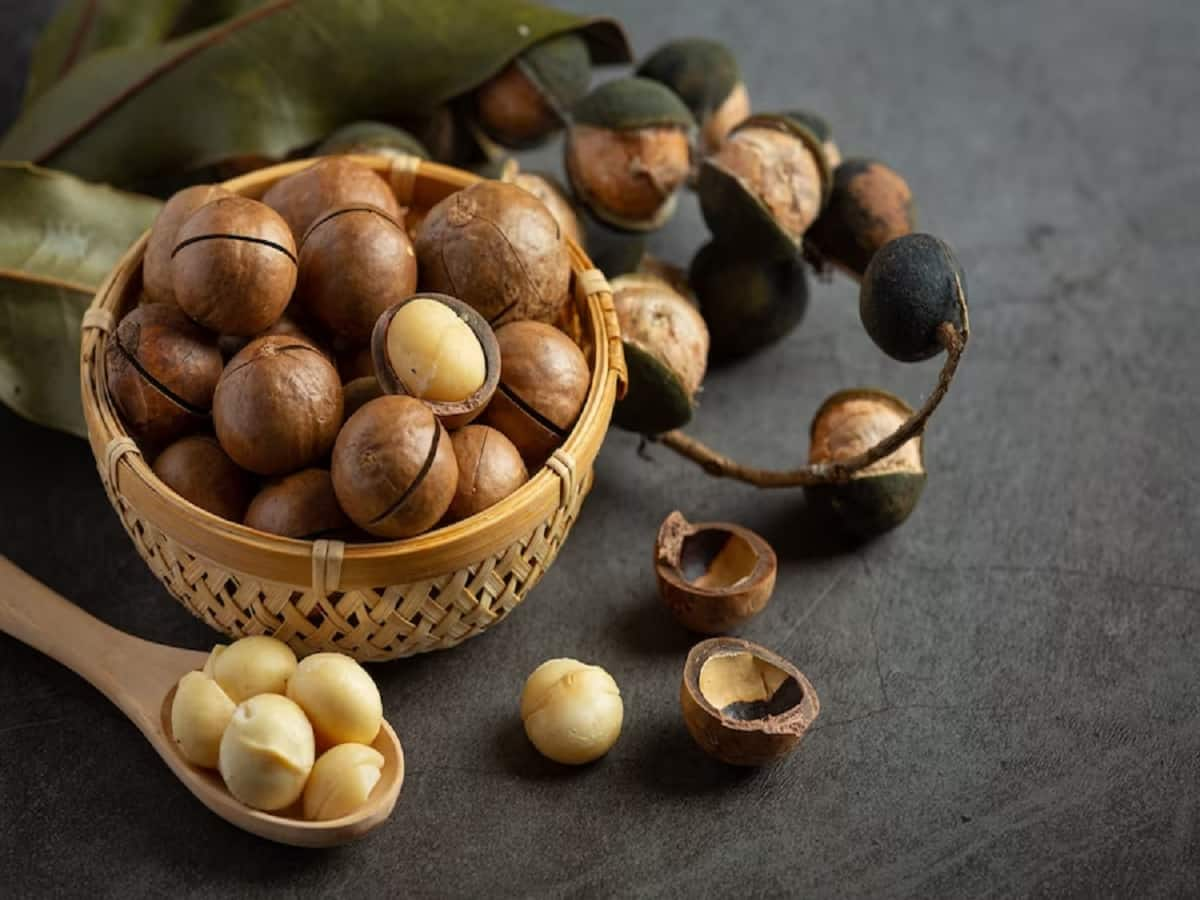 Macadamia on sale nuts healthy