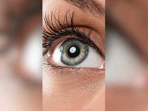 Nourish Your Vision: Top 10 Foods for Optimal Eye Health