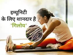 इम्यूनिटी के लिए शानदार है गिलोय, जानें गिलोय के 5 हेल्थ बेनिफिट्स