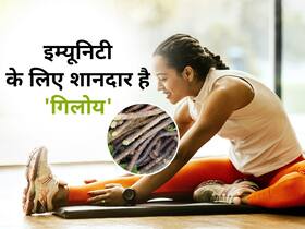 इम्यूनिटी के लिए शानदार है गिलोय, जानें गिलोय के 5 हेल्थ बेनिफिट्स