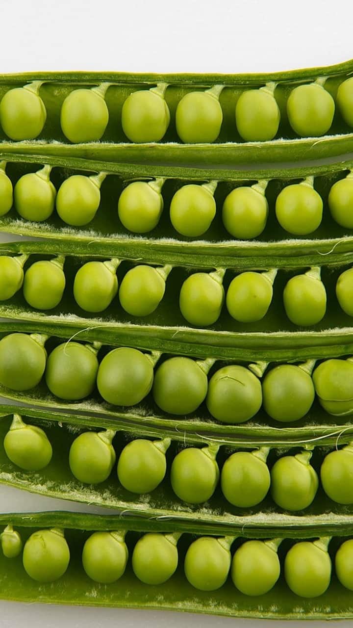 Green Peas 10 Unknown Health Benefits Of This Excellent Protein Source