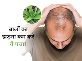 महंगे-महंगे शैंपू और कंडीशनर से नहीं रोक पा रहे हैं बालों का झड़ना? फ्री के इस पत्ते से करें इसका इलाज महंगे-महंगे शैंपू और कंडीशनर से नहीं रोक पा रहे हैं बालों का झड़ना? फ्री के इस पत्ते से करें इसका इलाज