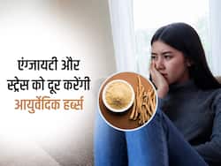 एंग्जायटी और स्ट्रेस से छुटकारा दिला सकती हैं ये आयुर्वेदिक जड़ी बूटियां, जानें प्रयोग का तरीका