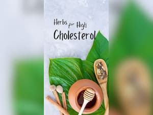 10 Ayurvedic Medicinal Herbs To Control High Cholesterol Levels