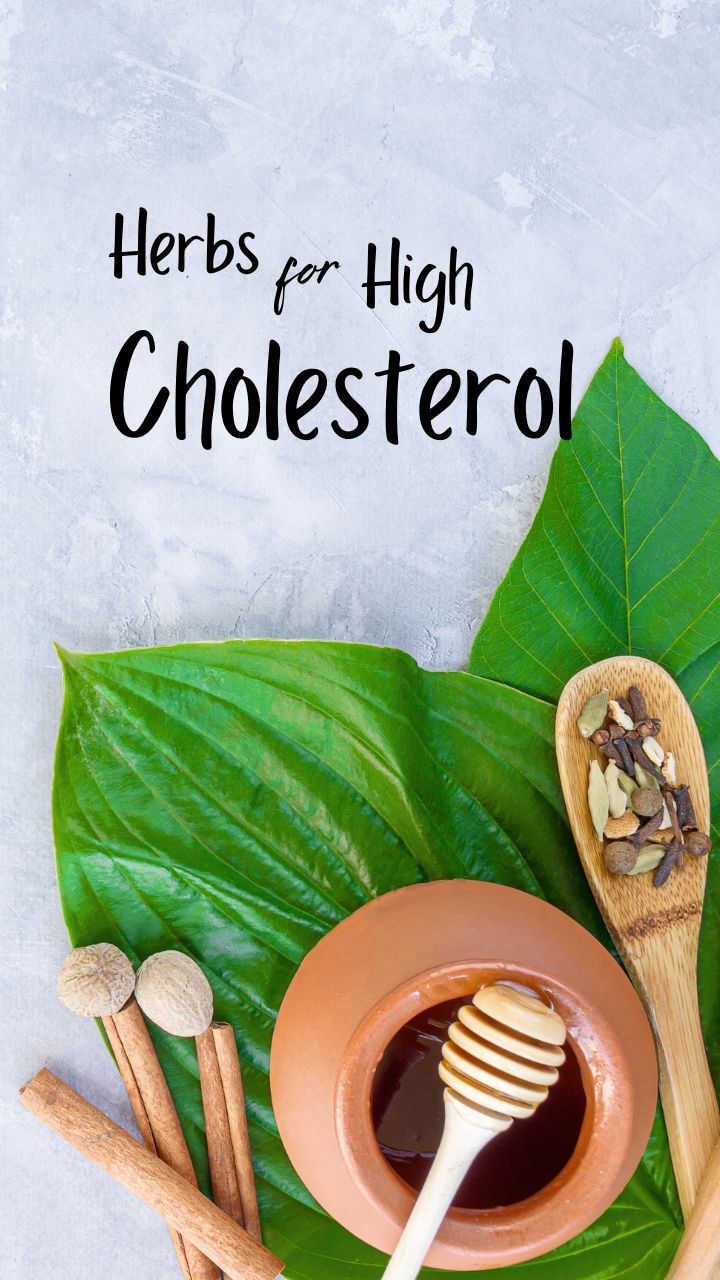 10 Ayurvedic Medicinal Herbs To Control High Cholesterol Levels