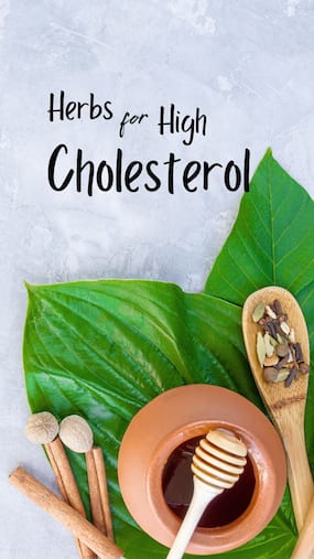 10 Ayurvedic Medicinal Herbs To Control High Cholesterol Levels