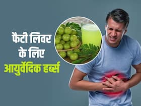 फैटी लिवर को ठीक करने में मदद कर सकती हैं ये 5 आयुर्वेदिक जड़ी-बूटियां, जानें इस्तेमाल का तरीका