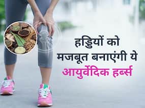 हड्डियों को लोहे जैसा मजबूत बना देती हैं ये आयुर्वेदिक हर्ब्स, आज ही करें डाइट में शामिल हड्डियों को लोहे जैसा मजबूत बना देती हैं ये आयुर्वेदिक हर्ब्स, आज ही करें डाइट में शामिल