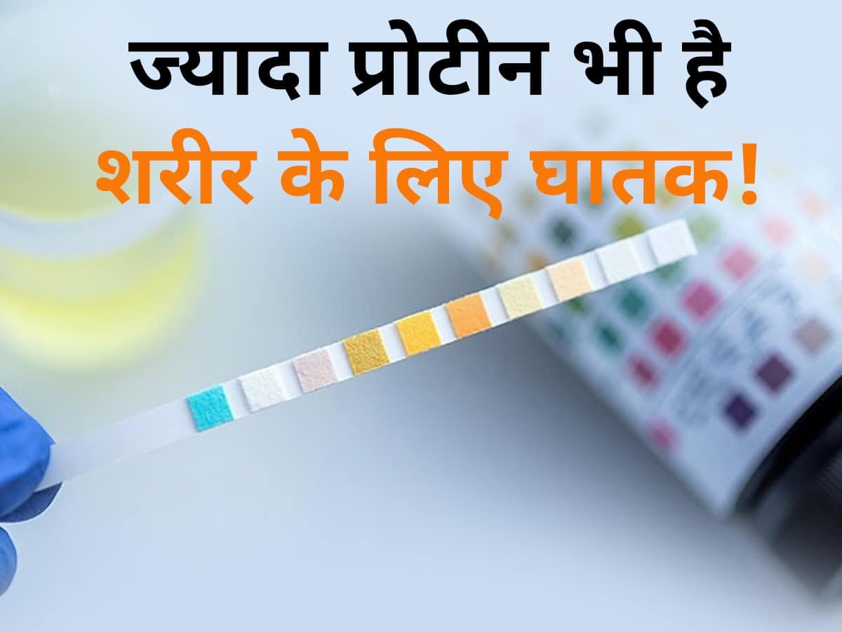 protein jyada hone ke lakshan Sign of high protein शरीर में जरूरत