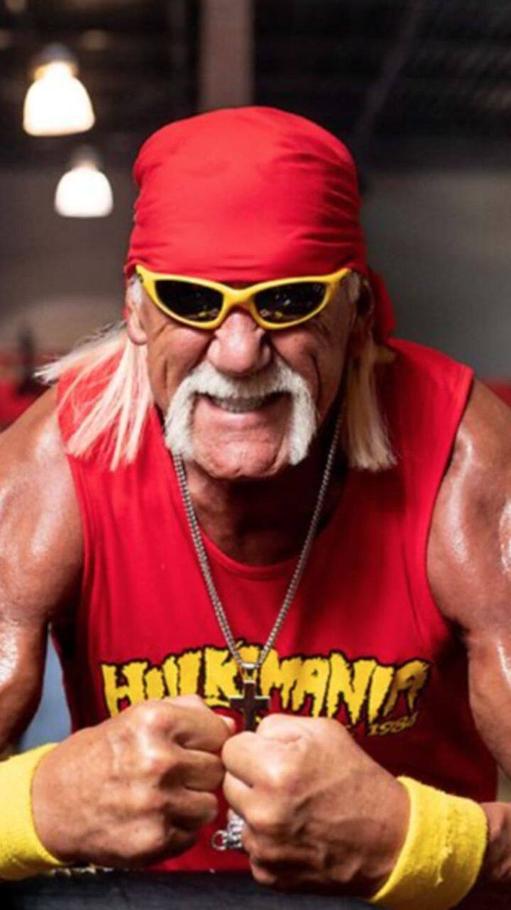 Hulk Hogan's sex tape has 