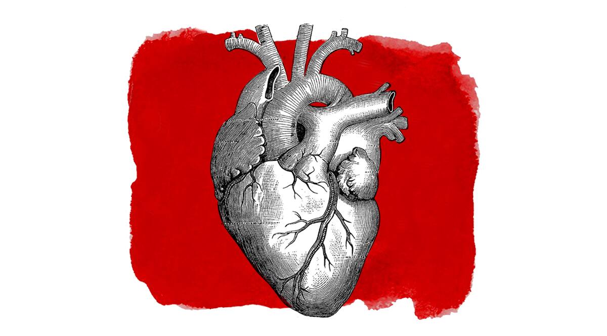 Healthy Heart | Heart healthy, Heart diet, Heart healthy diet