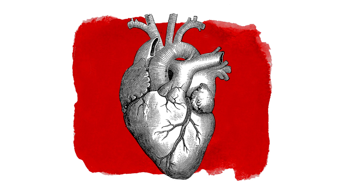 Ignoring Heart Health? BEWARE! It Can Increase Stroke Risk