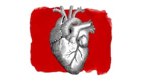 Ignoring Heart Health? BEWARE! It Can Increase Stroke Risk