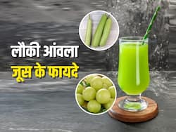 लौकी आंवला जूस पीने से ठीक हो जाती हैं ये 6 गंभीर बीमारियां, जानिए जूस बनाने और पीने का तरीका