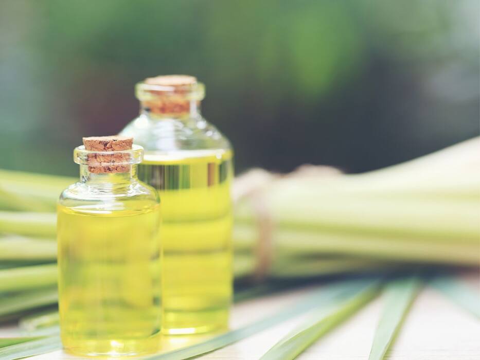 How To Kill Dengue Mosquitoes? Try These 5 Easy Home Remedies For Fast Results