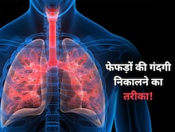 World Lung Day: फेफड़ों में जमा गंदगी साफ करने के लिए आजमाएं ये 5 उपाय, लंग्स रहेंगे हमेशा हेल्दी
