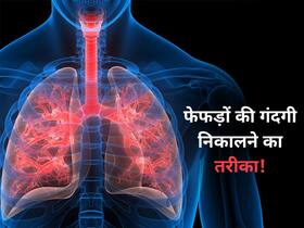 World Lung Day: फेफड़ों में जमा गंदगी साफ करने के लिए आजमाएं ये 5 उपाय, लंग्स रहेंगे हमेशा हेल्दी World Lung Day: फेफड़ों में जमा गंदगी साफ करने के लिए आजमाएं ये 5 उपाय, लंग्स रहेंगे हमेशा हेल्दी