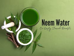 Neem Water On An Empty Stomach: What Happens When You Start Your Morning With Neem Leaves Soaked Water?