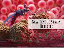 New Dengue Strain Found In Noida: Top Symptoms of DEN2 Dengue Virus You Should Never Ignore
