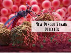 New Dengue Strain Found In Noida: Top Symptoms of DEN2 Dengue Virus You Should Never Ignore