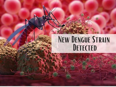 New Dengue Strain Found In Noida: Top Symptoms of DEN2 Dengue Virus You Should Never Ignore