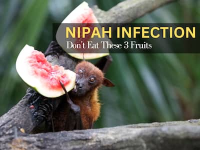 Nipah Virus Is Spreading Rapidly: Avoid These 3 Fruits to Stay Safe
