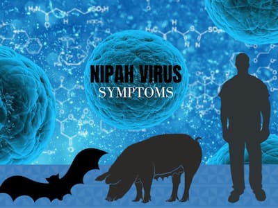 Nipah Virus Symptoms: 10 Signs You May Be Infected