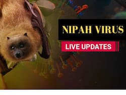 Kerala Nipah Virus Live Updates: Mortality Among Infected Very High, Says ICMR DG