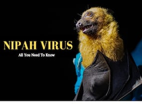 Nipah Fourth Wave Sweeps Through Kerala: 10 Things To Know About This Deadly Brain Eating Virus Nipah Fourth Wave Sweeps Through Kerala: 10 Things To Know About This Deadly Brain Eating Virus