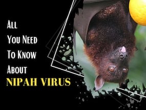 Nipah Virus Alert Issued In Jharkhand: Strict Surveillance, Mandatory Testing - How Deadly Is NiV Virus?