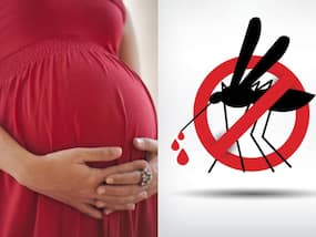 Dengue Fever During Pregnancy: Impact On Fetal And Maternal Health