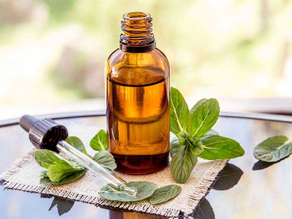 How To Kill Dengue Mosquitoes? Try These 5 Easy Home Remedies For Fast Results