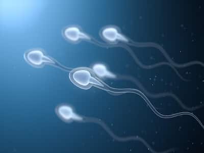 Fertility Treatment: How Sperm DNA Fragmentation Testing Improves IVF Outcomes