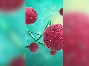 Top 10 Warning Symptoms of Nipah Virus