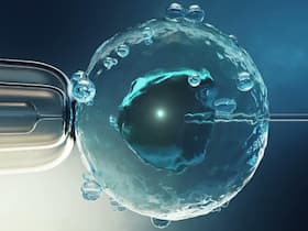Infertility Treatment: Advantages To Undergoing Frozen Embryo Transfer (FET) Infertility Treatment: Advantages To Undergoing Frozen Embryo Transfer (FET)