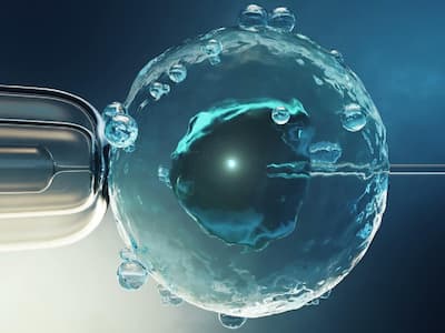 Infertility Treatment: Advantages Of Frozen Embryo Transfer (FET)